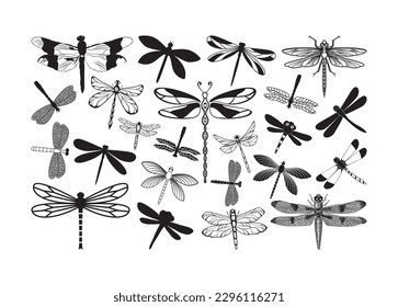 Dragonfly vector For Print, Dragonfly Clipart, Dragonfly vector Illustration