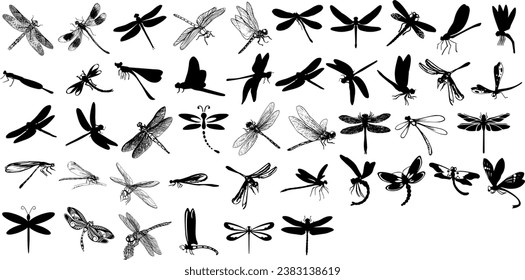 Vector de libélula para impresión, Clipart de libélula, Ilustración vectorial de libélula