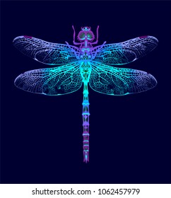 Dragonfly. Vector Seamless Pattern. Dark blue backgrounds. Summer night.