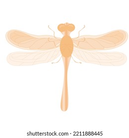 Ilustración del material vector de la libélula. Aislado sobre un fondo blanco. Un insecto alado. Un animal salvaje.