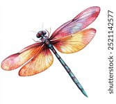 Dragonfly watercolor clipart illustration isolated