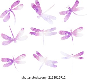 dragonfly watercolor set silhouette,on white background,vector,isolated