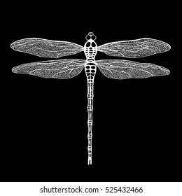 Dragonfly. White dragonfly on black background. Hand drawn vector damselfly.