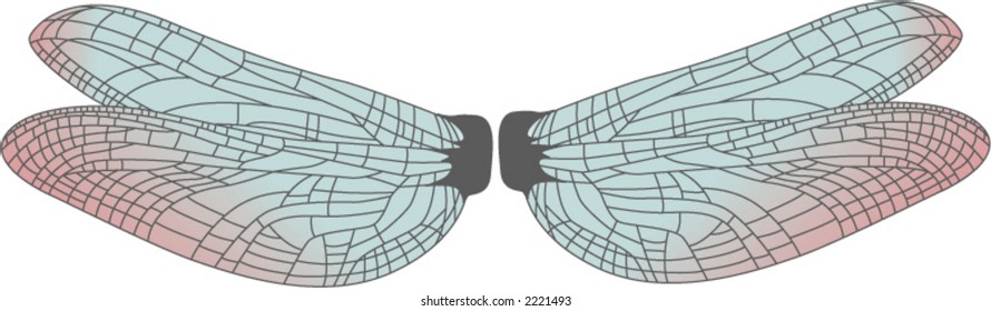 dragonfly wing