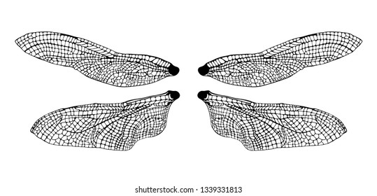 Dragonfly Wing Template