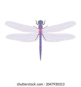 Dragonfly with wings. Vector illustration