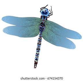 dragonfly1