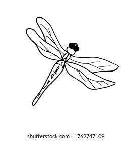 Dragonfly.Vector illustration of an insect. A Doodle style sketch . Isolated object on a white background.Ink drawing of wildlife. For children's colorings and logos.