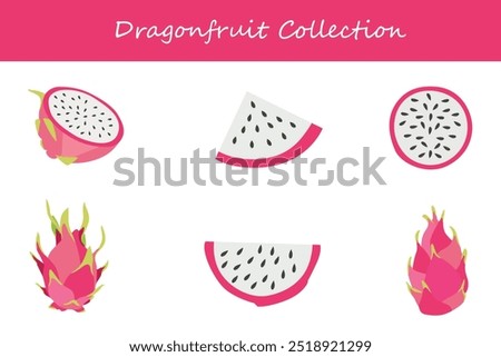 dragonfruit collection in different poses. Vector illustration.