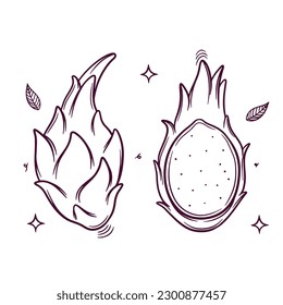 dragonfruit. hand drawn icon. hand drawn vector illustration