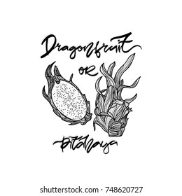 Dragonfruit monochrome vector illustration on transparent background.  Hand drawn lettering - "Dragonfruit or pitahaya". 