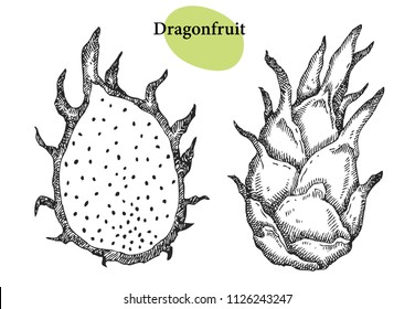 Dragonfruit set. Hand drawn fruit isolated on white. Can be used for vegan products, brochures, banner, restaurant menu, farmers market and organic food store