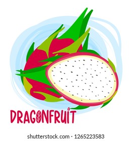 dragonfruit of simple color illustrations