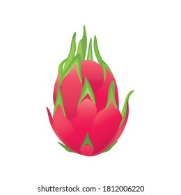 Dragonfruit, Tropical Summer Fruit, Exotic Fruit, Pitaya, Superfruit Vector Illustration Background