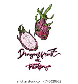 Dragonfruit vector illustration on transparent background.  Hand drawn lettering - "Dragonfruit or pitahaya". 