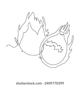 dragonfruit vector illustration single continuous line drawing