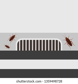 drain vector. wallpaper. free space for text. copy space. cockroach vector.