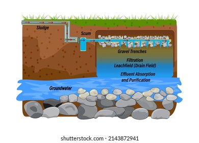 Drainfield diagram isolated on white background. Effluent absorption and purification scheme. Wastewater underground leach field.Sewage treatment system. Soil and water layers. Stock vector illustration