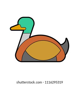Drake duck male isolated. waterfowl bird Vector illustration

