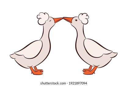 Patos dibujados aislados sobre fondo blanco, dos patos enamorados, ilustración vectorial de dos aves al estilo de las caricaturas