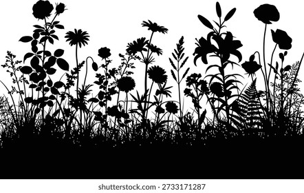 Dramatic black silhouette of wildflowers and grasses against a bright white background silhouette
