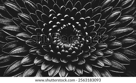 Dramatic black and white floral art background of close-up blooming flower in stippling style with detailed texture. Retro styled dotwork. Pointillism. Noisy grainy dot shading. Vector illustration