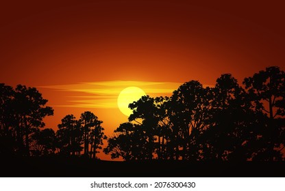 Dramatic forest sunset illustration. Tree sunset silhouette