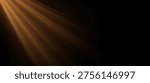 Dramatic golden light rays streaming diagonally through a dark background with floating dust particles, creating a cinematic atmosphere of warmth, mystery, and elegant illumination. Vector backdrop