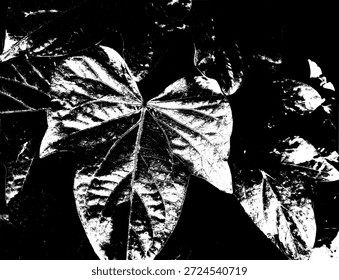 Dramática silueta de hojas en blanco y negro de alto contraste. Ilustración gráfica botánica minimalista con vetas de hojas orgánicas detalladas para esténciles, estampados y Elementos de diseño modernos con temas de naturaleza.