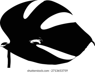 Elemento de Diseño gráfico dramático de la silueta de la hoja de Monstera en blanco y negro