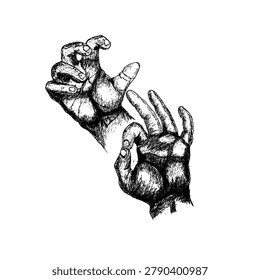draw the anatomical shape