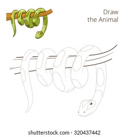 Draw the animal boa snake educational game vector illustration