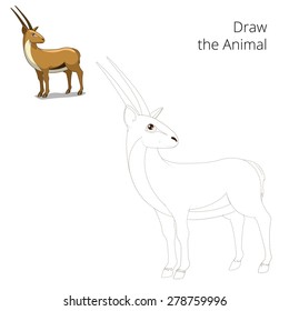 Draw animal gazelle educational game vector illustration