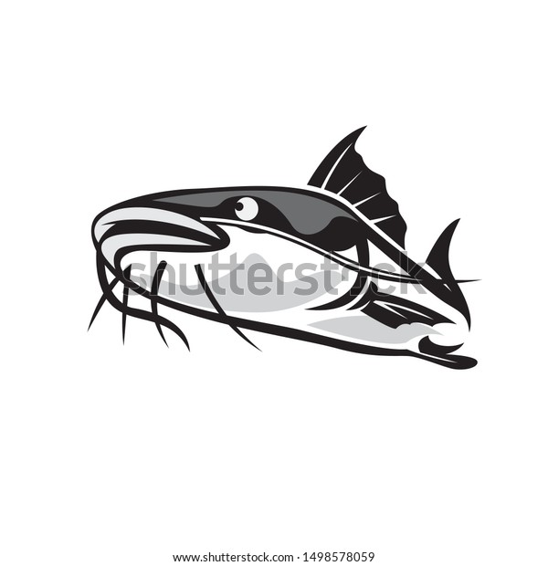 Draw Big Head Front View Catfish Stock Vector Royalty Free