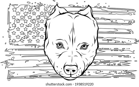 draw in black and white of Head of Aggressive Bully Dog with american flag