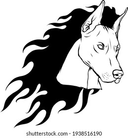 draw in black and white of head dobermann dog with Flames vector illustration