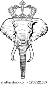 draw in black and white of head elephant with crown vector illustration