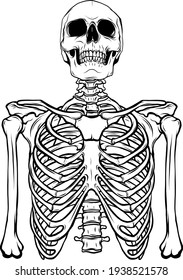 draw in black and white of Human skeleton on white background vector illustration