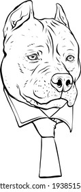 draw in black and white of pitbull head with necktie vector illustration design