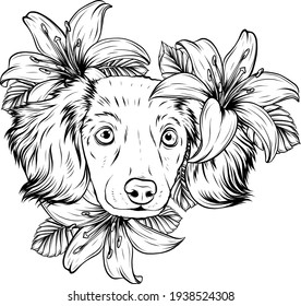 draw in black and white of Portrait of a Spaniel dog in a flower head wreath. Vector illustration.