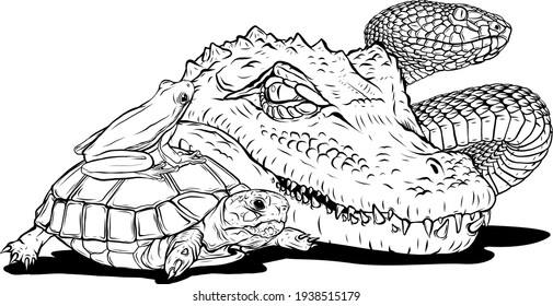 draw in black and white of reptiles and amphibians. Wild Crocodile, snake, turtle and frog