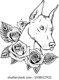 draw in black and white of vector Dobermann dog face with red roses