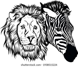 draw in black and white of zabra and lion head vector illustration design