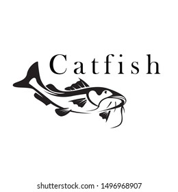 draw Bottom view swimming cat fish logo design inspiration