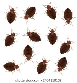 Zieh Insekten zu Insekten. Vektorgrafik.