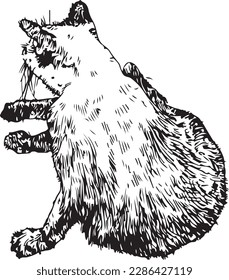 Draw a cat with a black ink pen