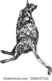 Draw a cat with a black ink pen