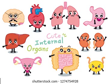 Draw character design cute internal organs, isolated on white. Set of internal organs cartoon. -Vector