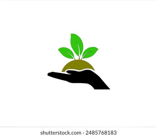 Draw a continuous line from the plant on the hand