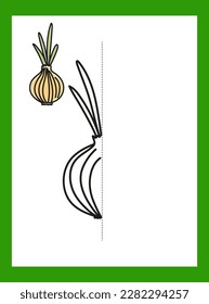 Draw a drawing. Vegetables. .Onion. Vector image.